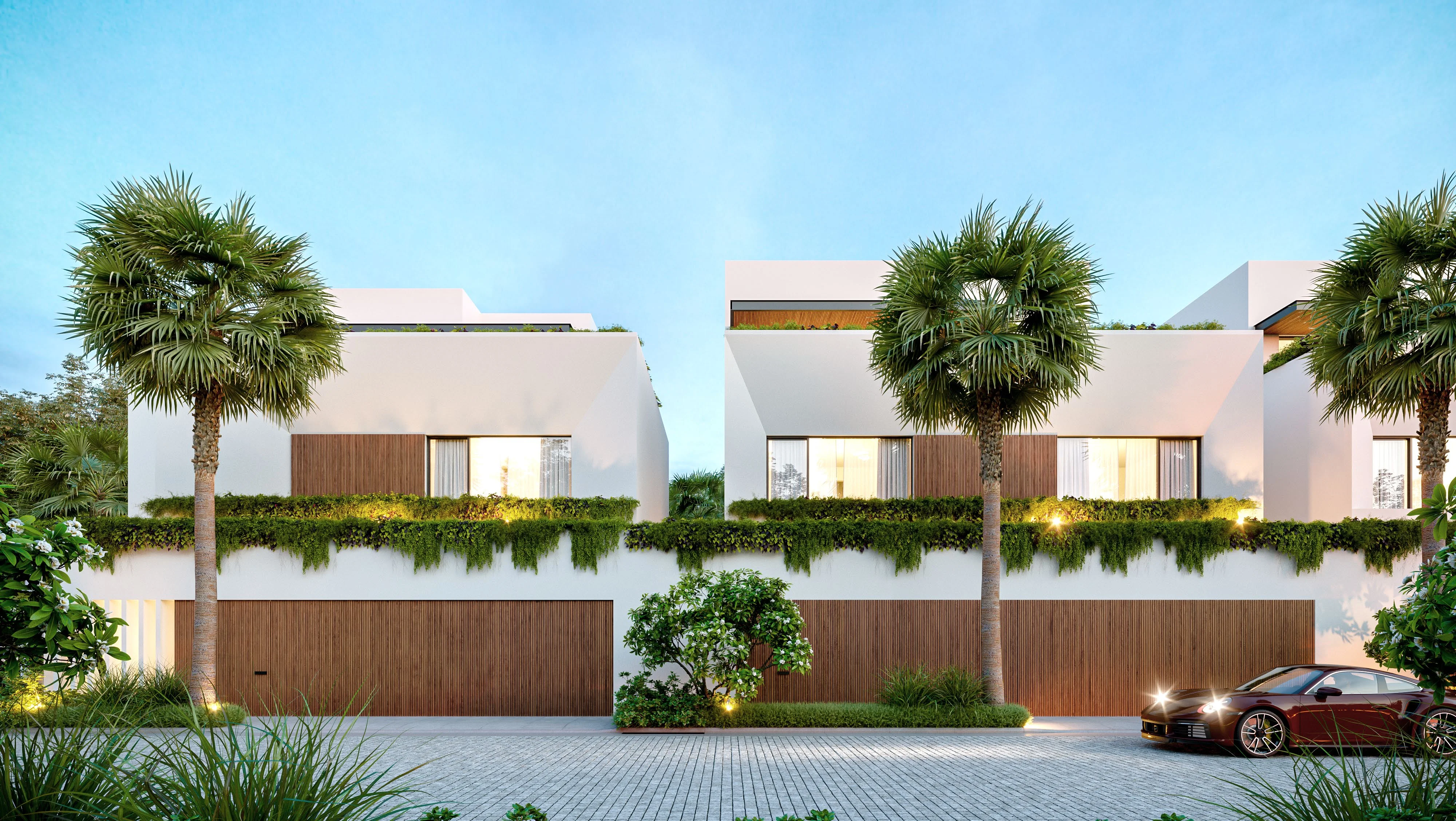 Plumeria Grove