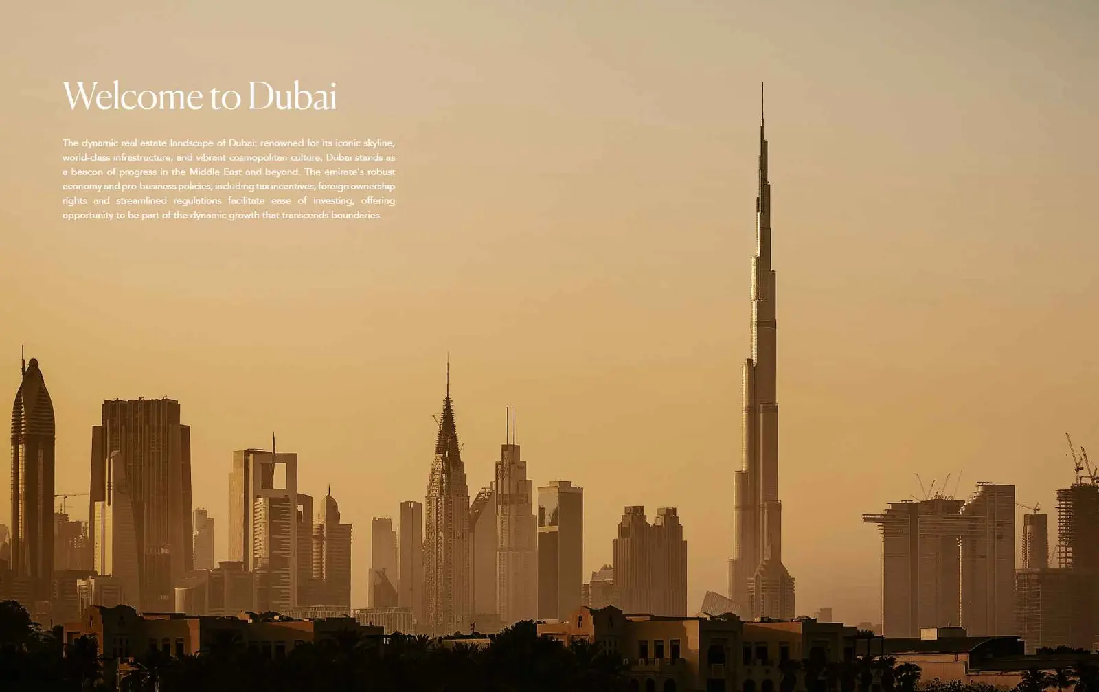 Binghatti Phoenix — Binghatti Developers